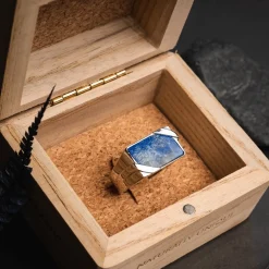 Bague Binomial