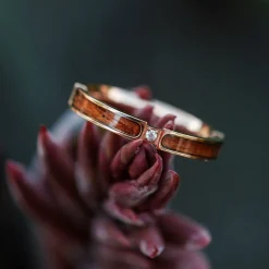 BAGUE CAMPANIA