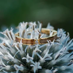 BAGUE CAMPANIA