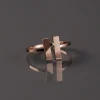 BAGUE CAMPANIA