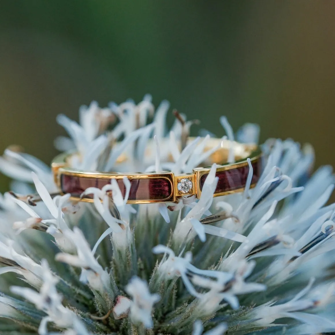 BAGUE CAMPANIA