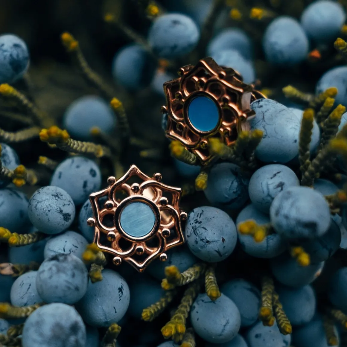 Boucles d'oreilles Composition