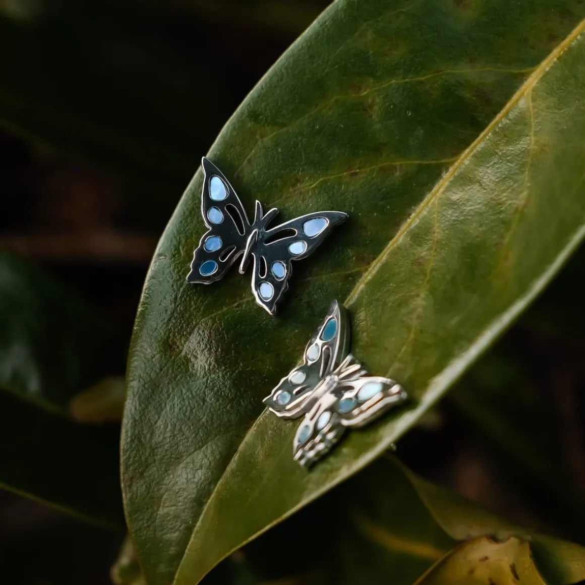 Boucles d'Oreilles Fritillary