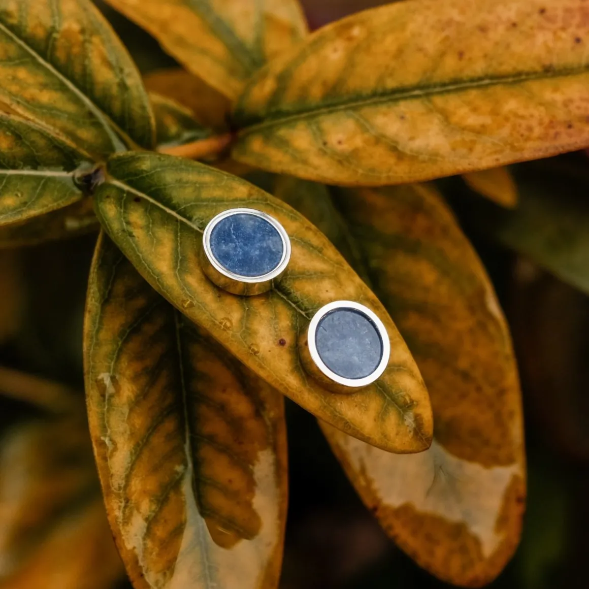 Boucles d'oreilles Pigment