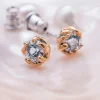 Boucles D'oreilles Silverstream
