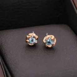 Boucles D'oreilles Silverstream