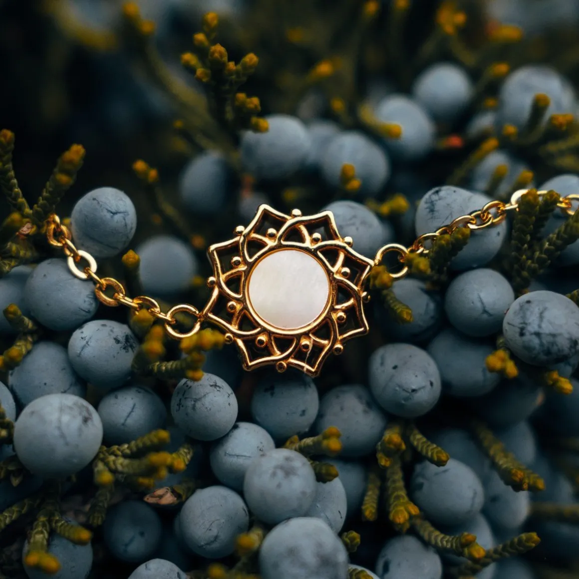 Bracelet Composition