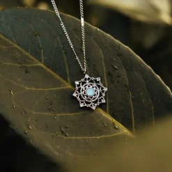 Collier Aphonia