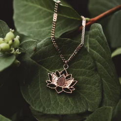 Collier Balance