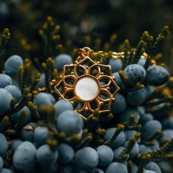 Collier Composition