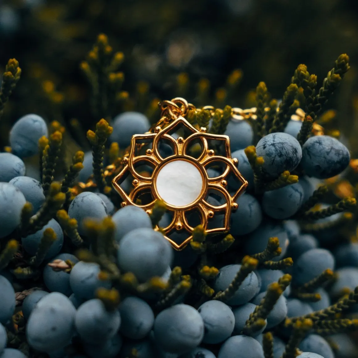 Collier Composition