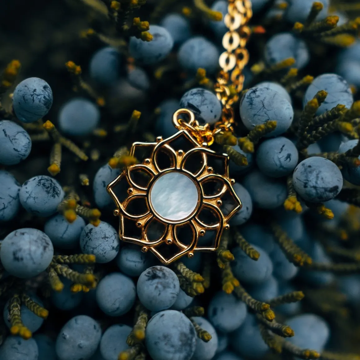 Collier Composition