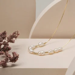 Collier Familytie