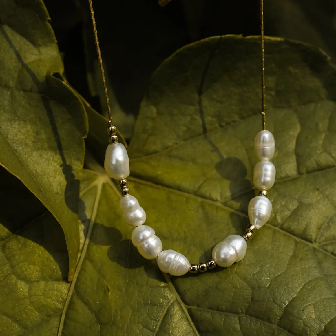 Collier Familytie