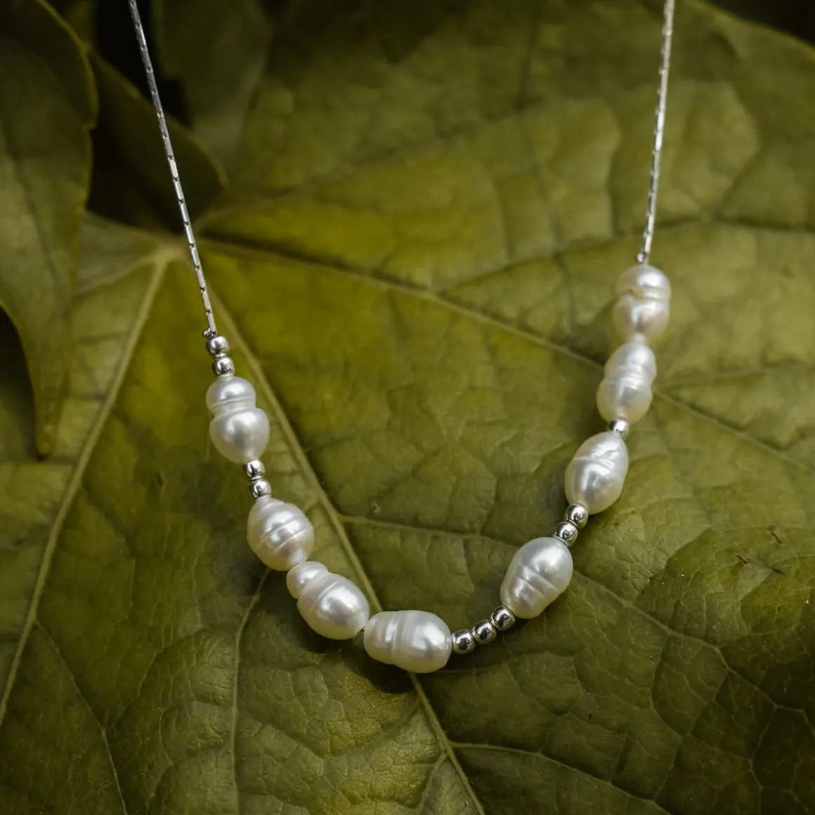 Collier Familytie