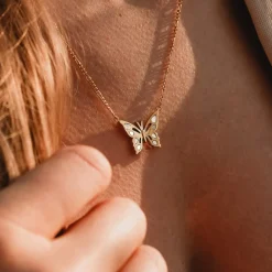 Collier Fritillary