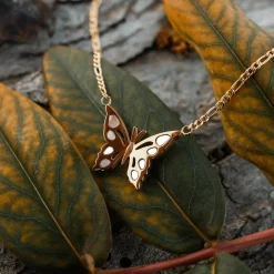 Collier Fritillary