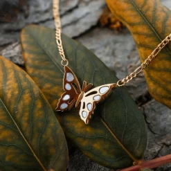 Collier Fritillary