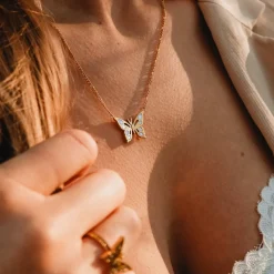 Collier Fritillary