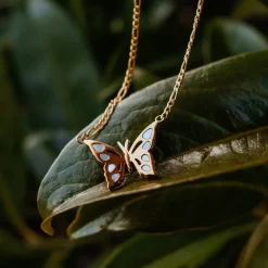 Collier Fritillary