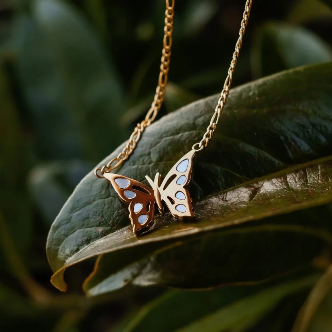 Collier Fritillary
