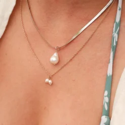 COLLIER SUMMERSWEET