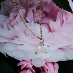 COLLIER SUMMERSWEET