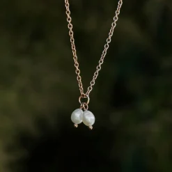 COLLIER SUMMERSWEET