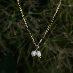 COLLIER SUMMERSWEET