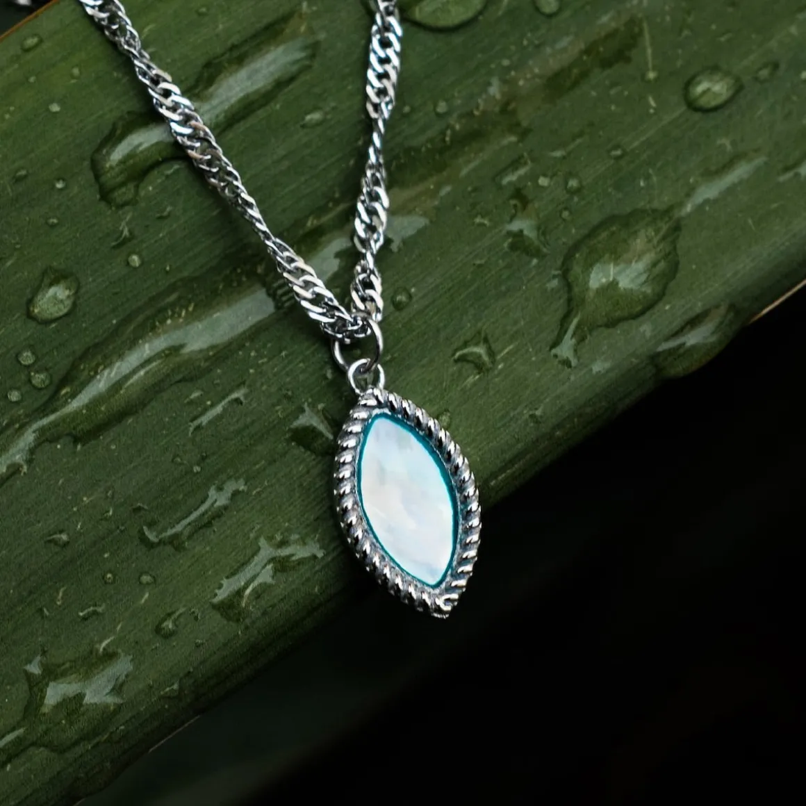 Collier Visual