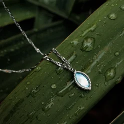 Collier Visual