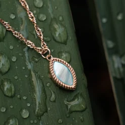 Collier Visual