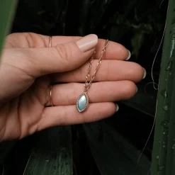 Collier Visual