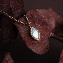 Collier Visual
